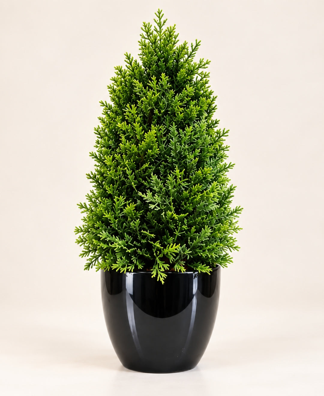 Artificial Mini Evergreen Cone Tree in Glossy Black Pot