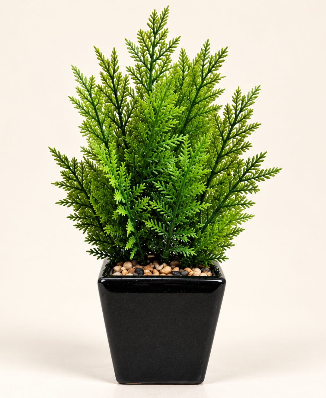Artificial Feathery Spruce Bonsai in Glossy Black Square Ceramic Pot