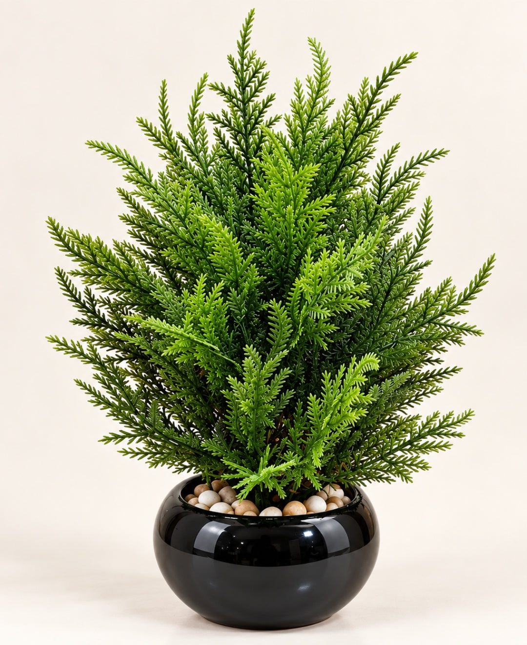 Artificial Fir Tree in Glossy Black Round Ceramic Pot