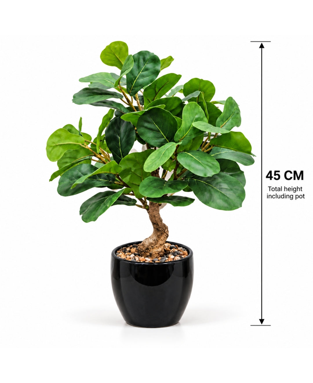 Artificial Fiddle Leaf Fig Bonsai with Curved Trunk in Glossy Black Ceramic Pot