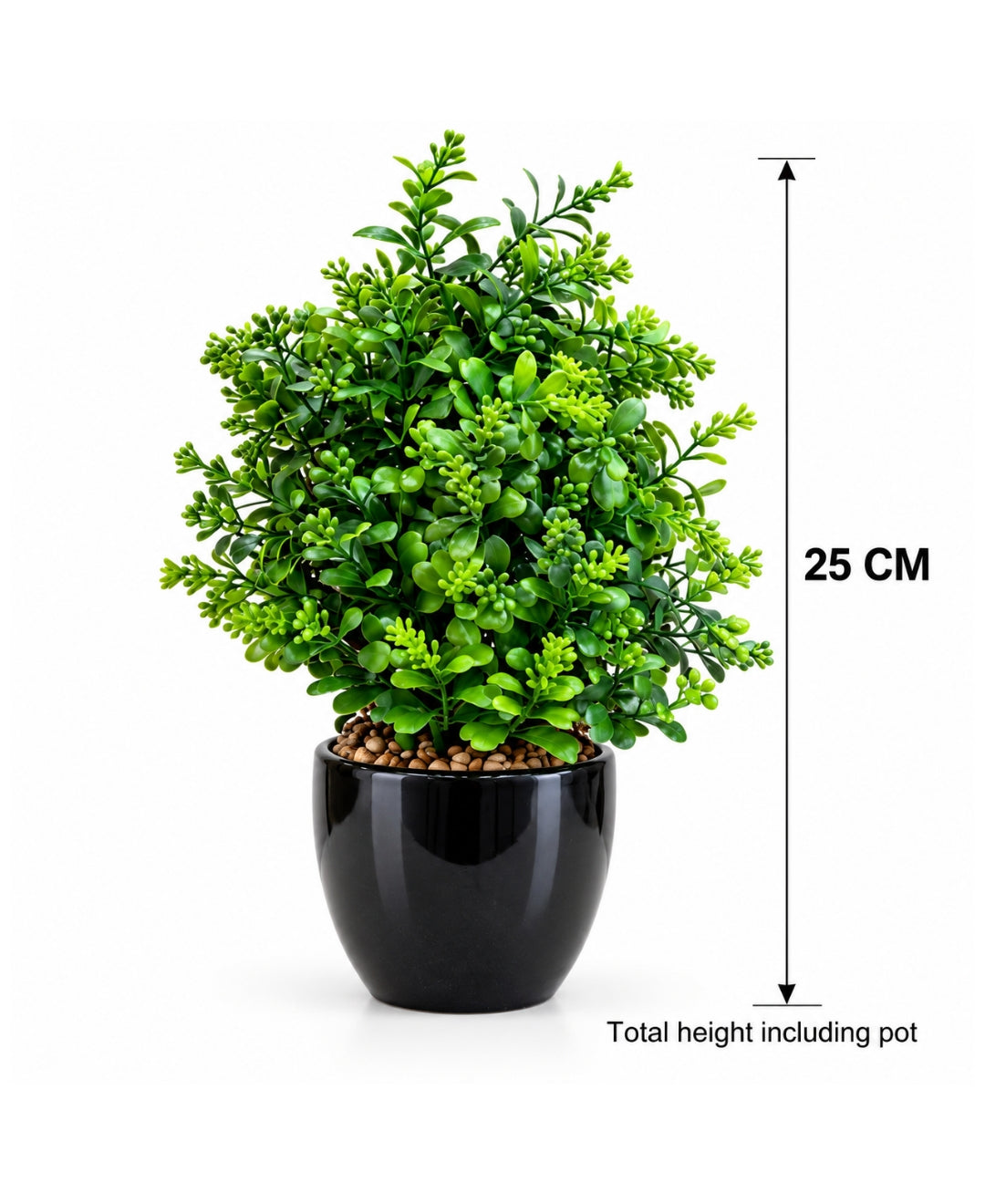 Artificial Buxus Bush in Glossy Black Ceramic Pot