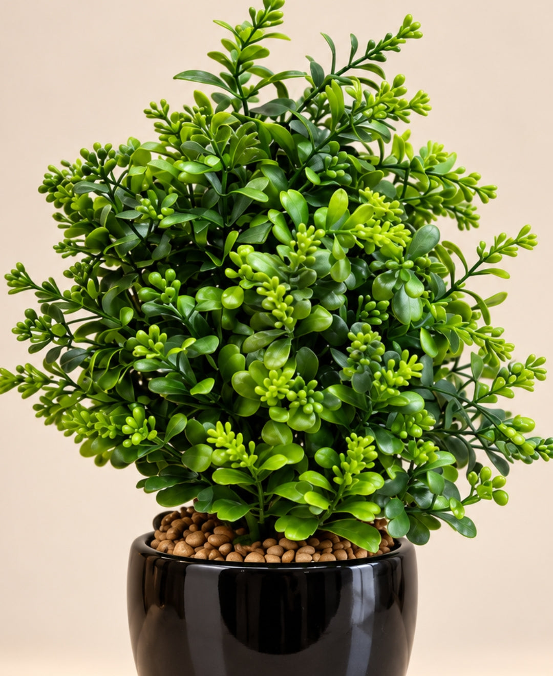 Artificial Buxus Bush in Glossy Black Ceramic Pot