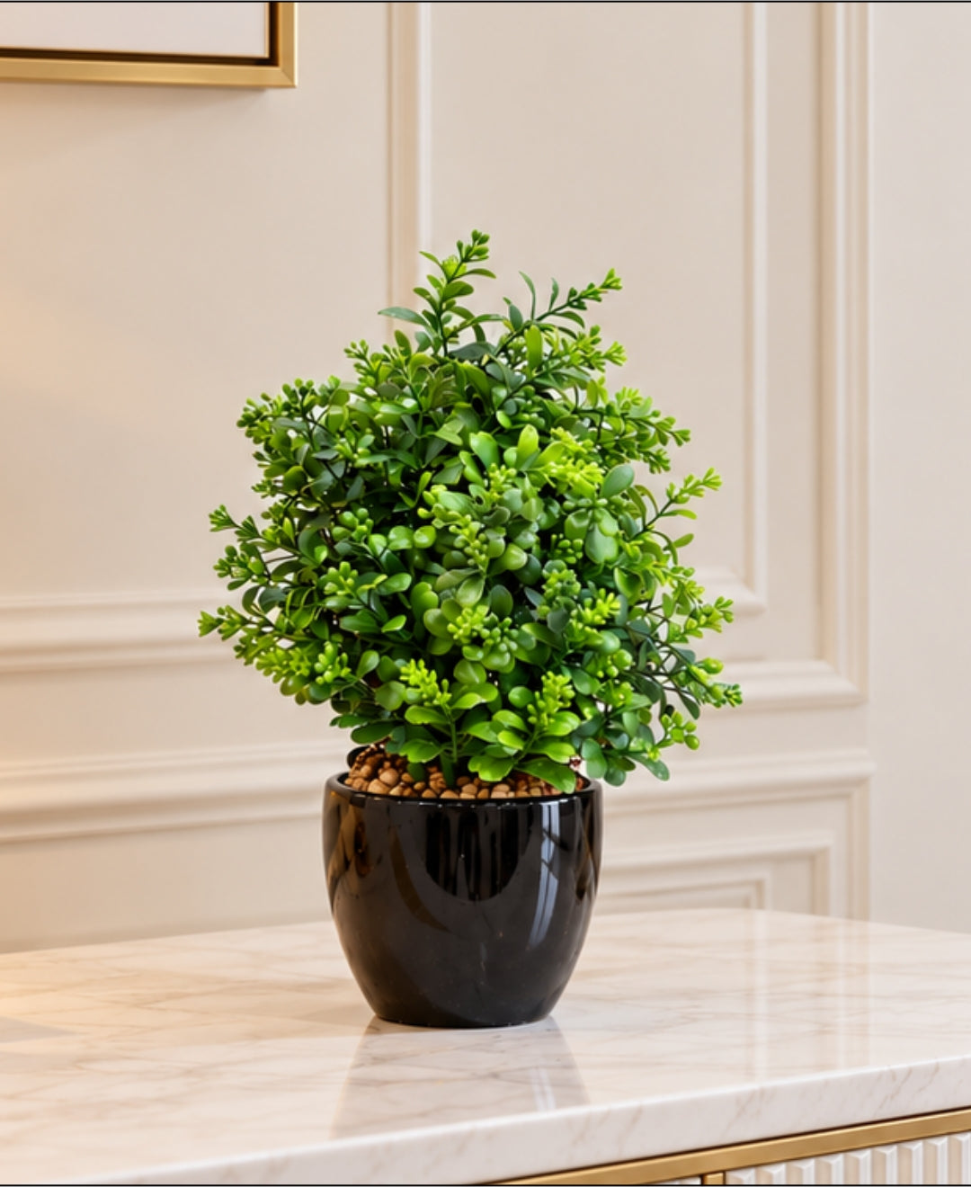 Artificial Buxus Bush in Glossy Black Ceramic Pot