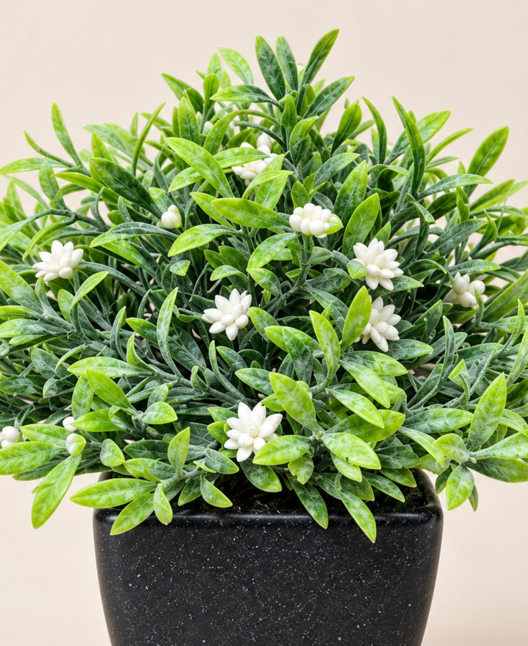 Artificial Jasmine Flower Bush in Black Square Ceramic Pot