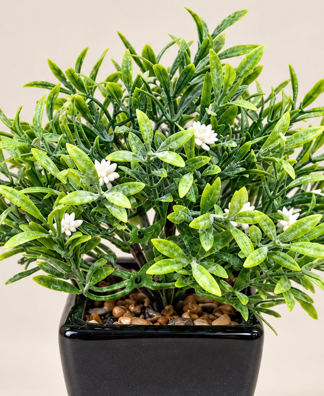 Artificial Star Jasmine Bush in Glossy Black Square Ceramic Pot