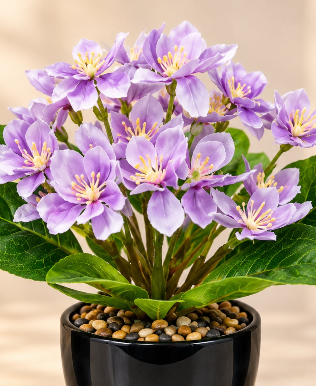 Artificial Phlox Flower Pot - Purple in Glossy Black Ceramic Pots