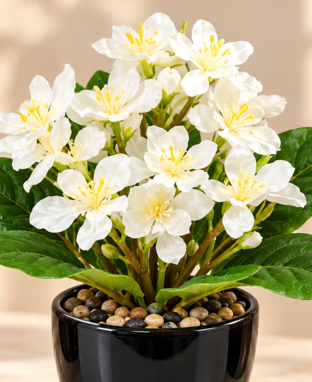 Artificial Phlox Flower Pot - White in Glossy Black Ceramic Pots
