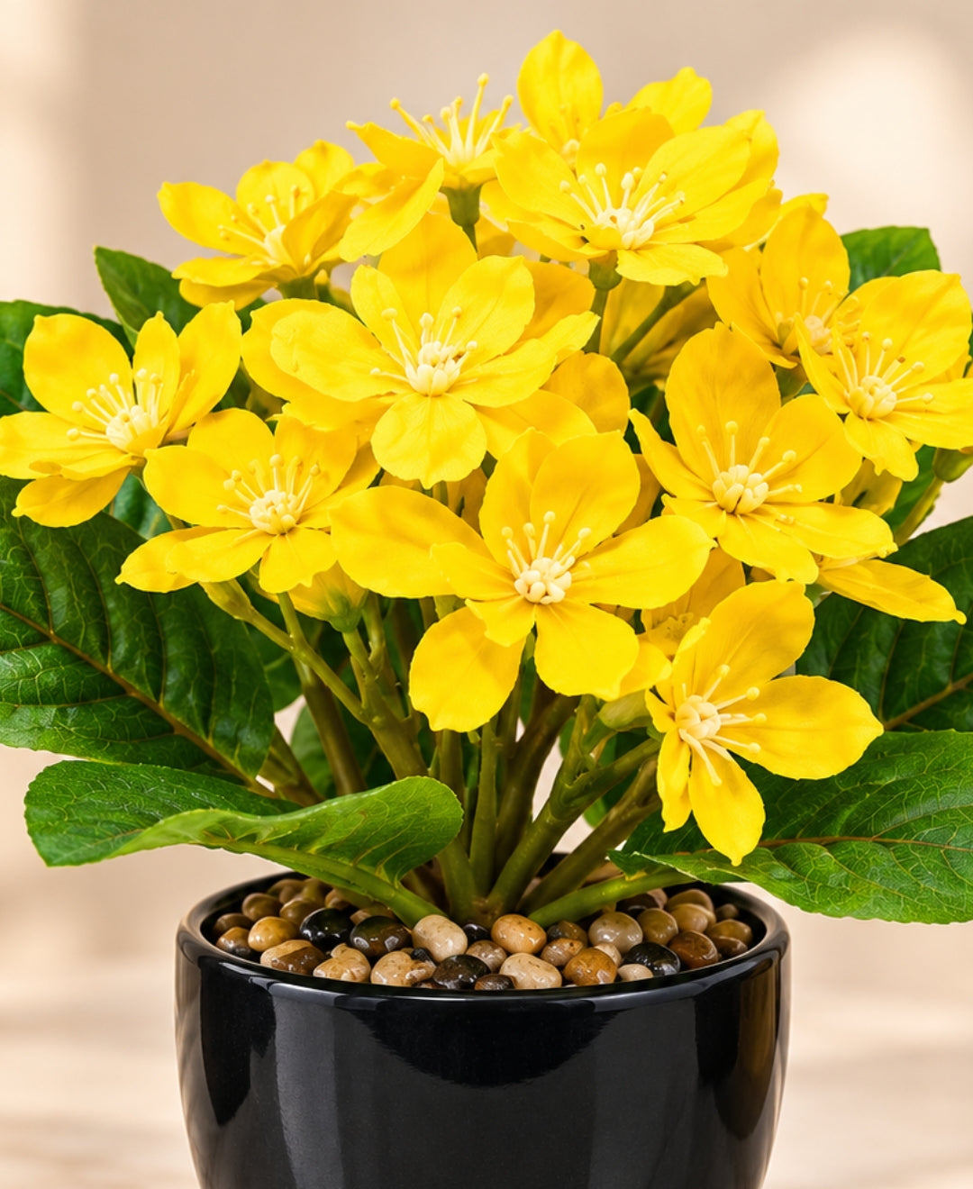Artificial Phlox Flower Pot - Yellow in Glossy Black Ceramic Pots