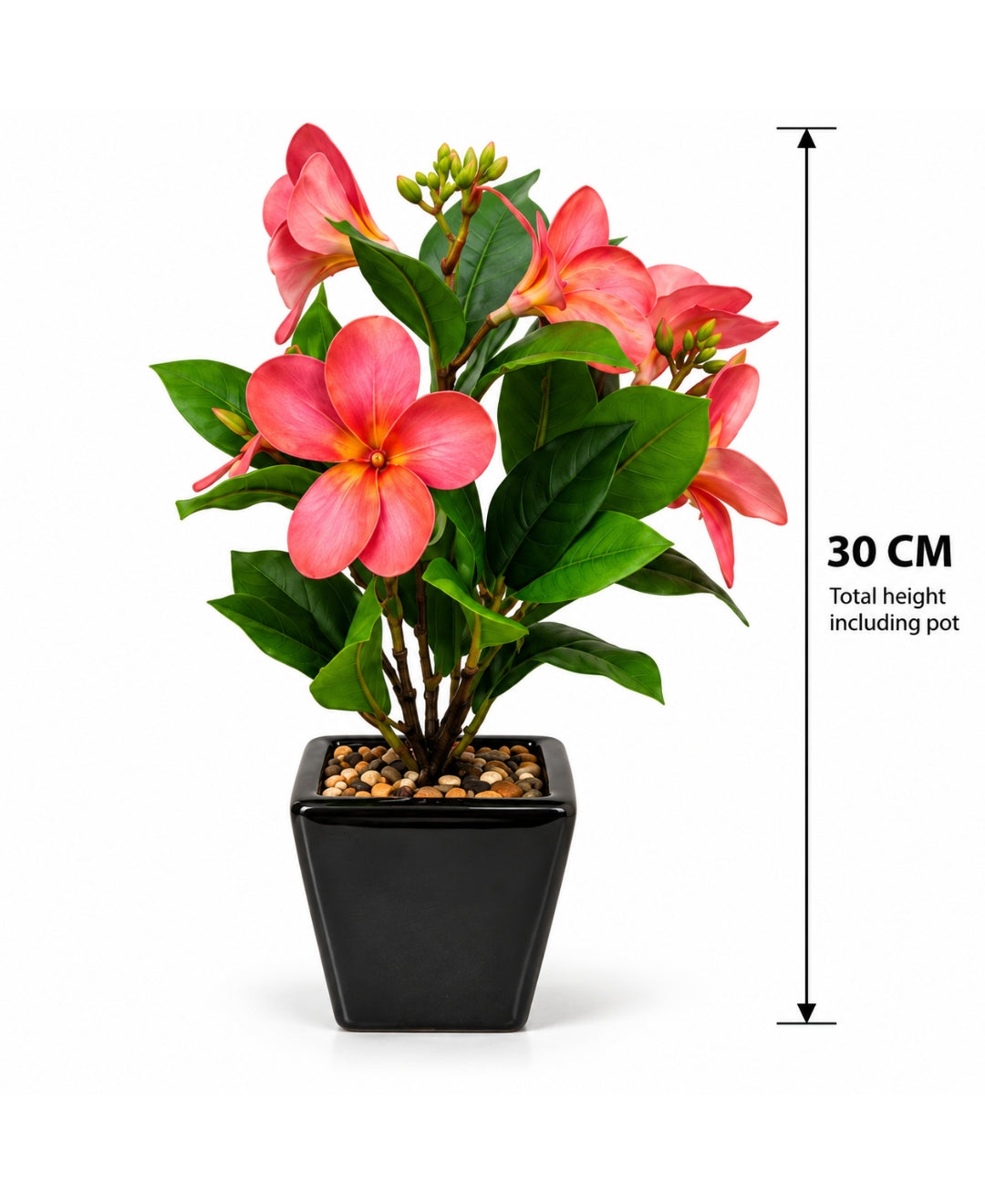 Artificial Plumeria (Frangipani) Flower Pot -Red Glossy Black Square Ceramic Pots