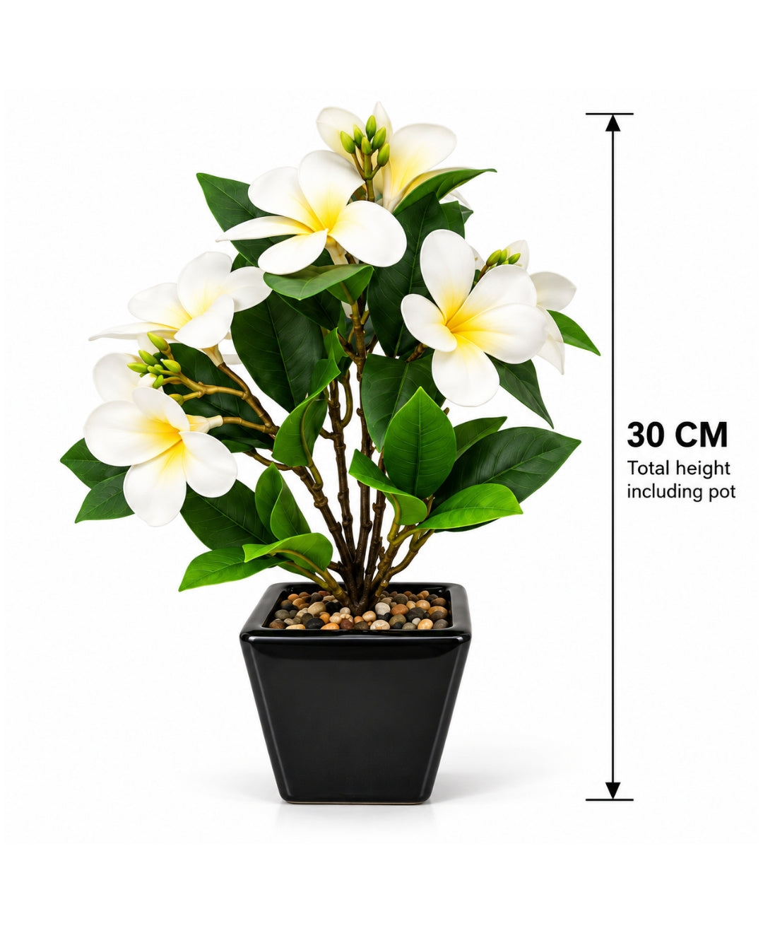 Artificial Plumeria (Frangipani) Flower Pot -White Glossy Black Square Ceramic Pots