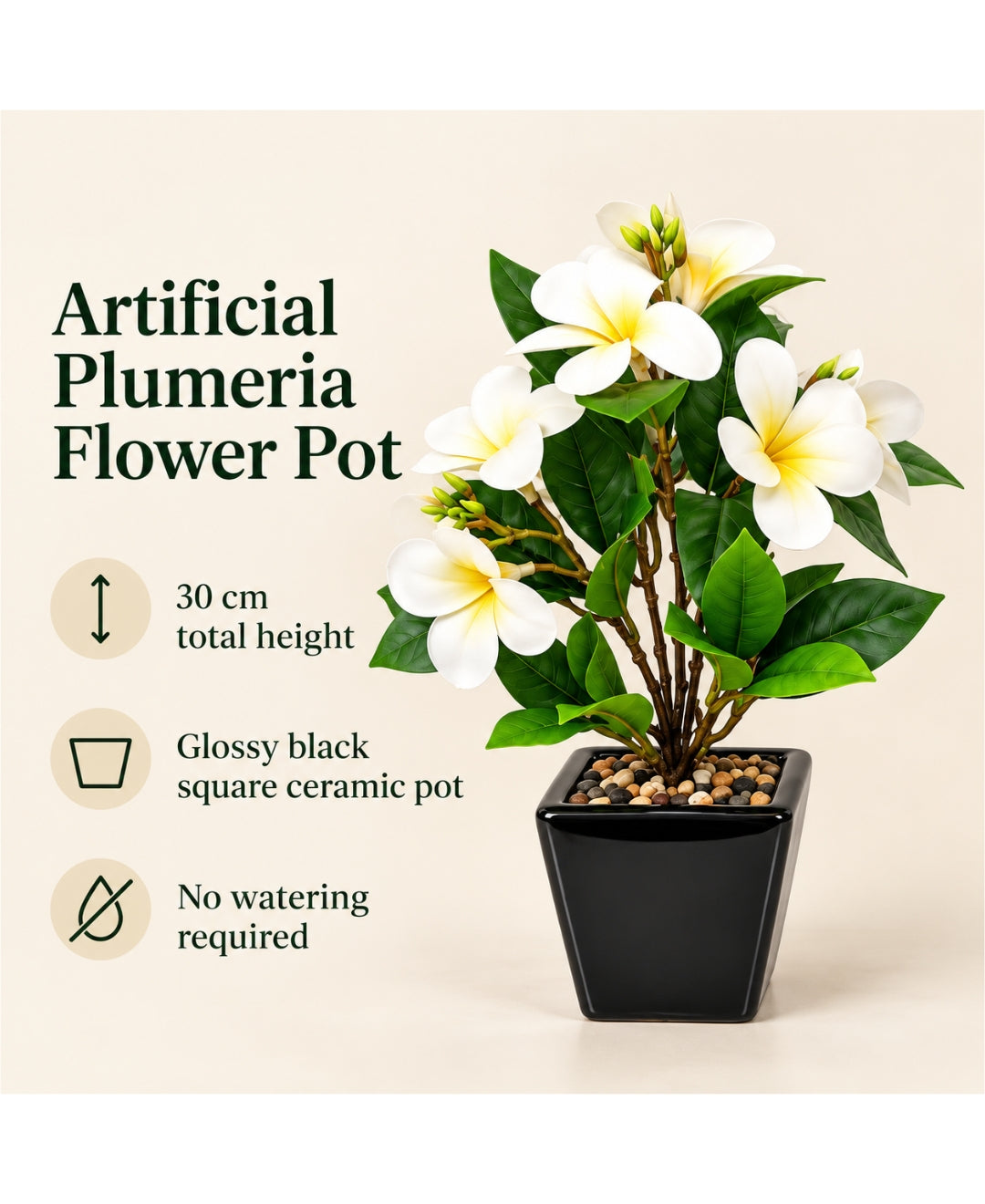 Artificial Plumeria (Frangipani) Flower Pot -White Glossy Black Square Ceramic Pots