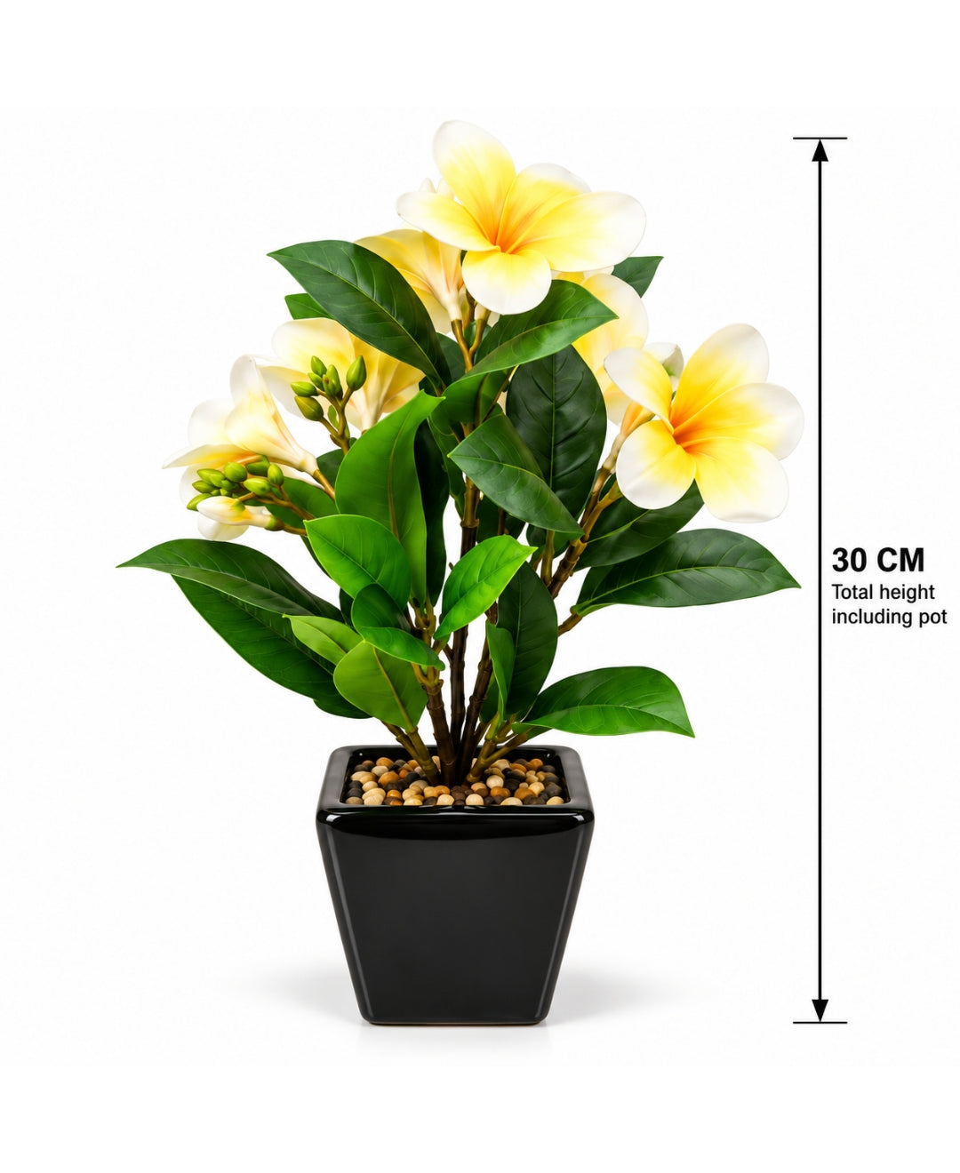 Artificial Plumeria (Frangipani) Flower Pot - Yellow Glossy Black Square Ceramic Pots
