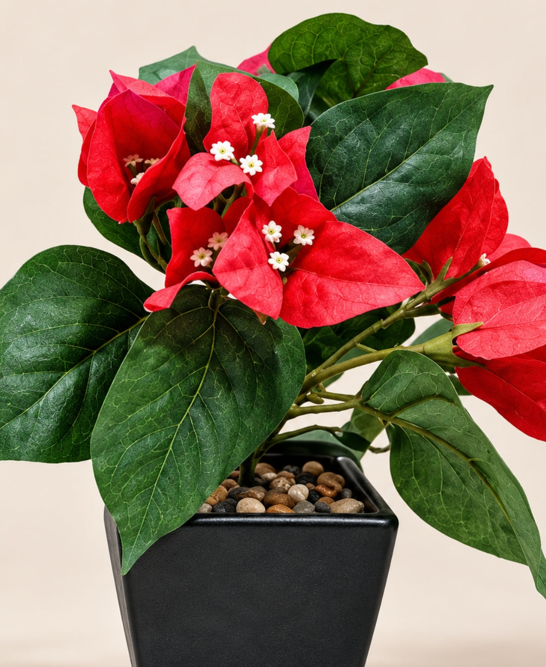 Artificial Bougainvillea Bush Pot - Red in Black Square Ceramic Pots