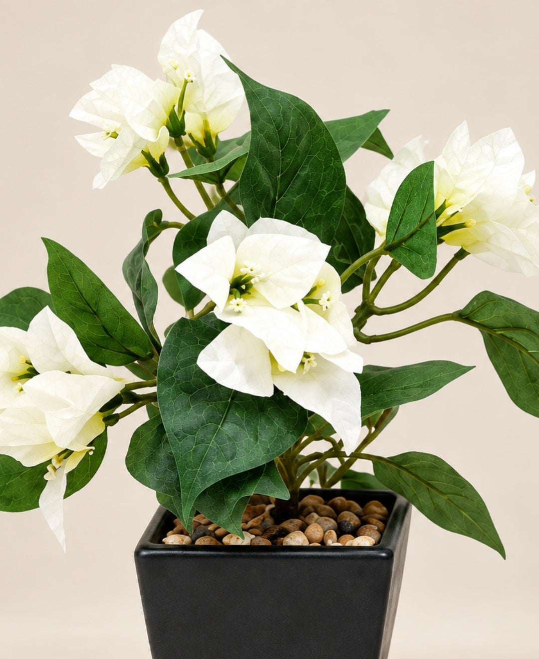 Artificial Bougainvillea Bush Pot - White in Black Square Ceramic Pots