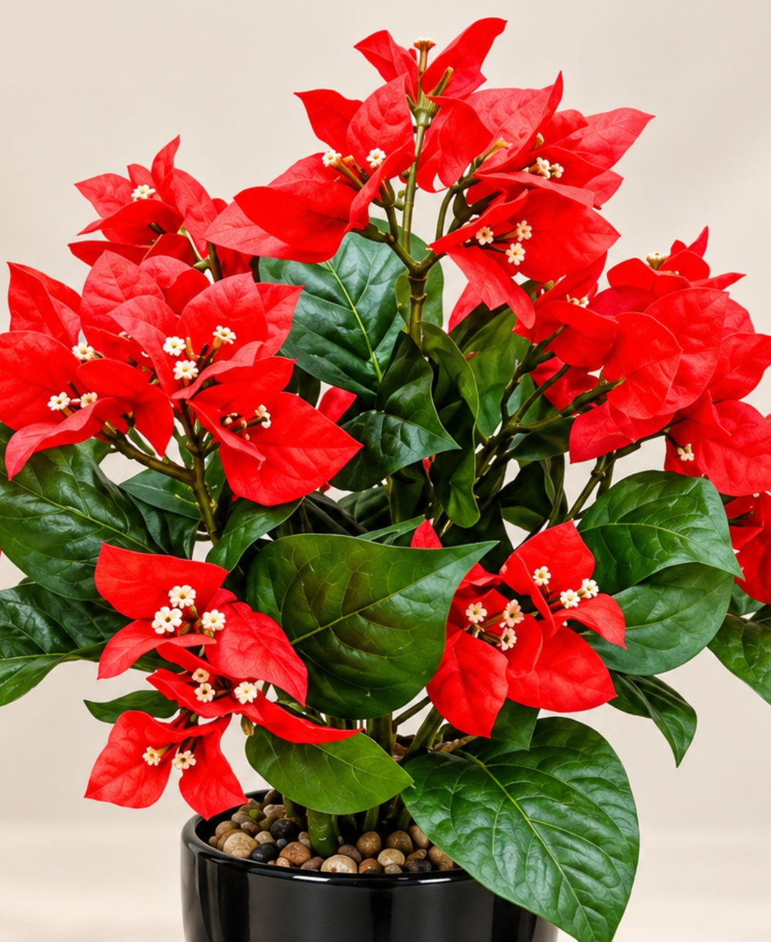 Artificial Bougainvillea Blossom Pot - Red in Glossy Black Round Ceramic Pot