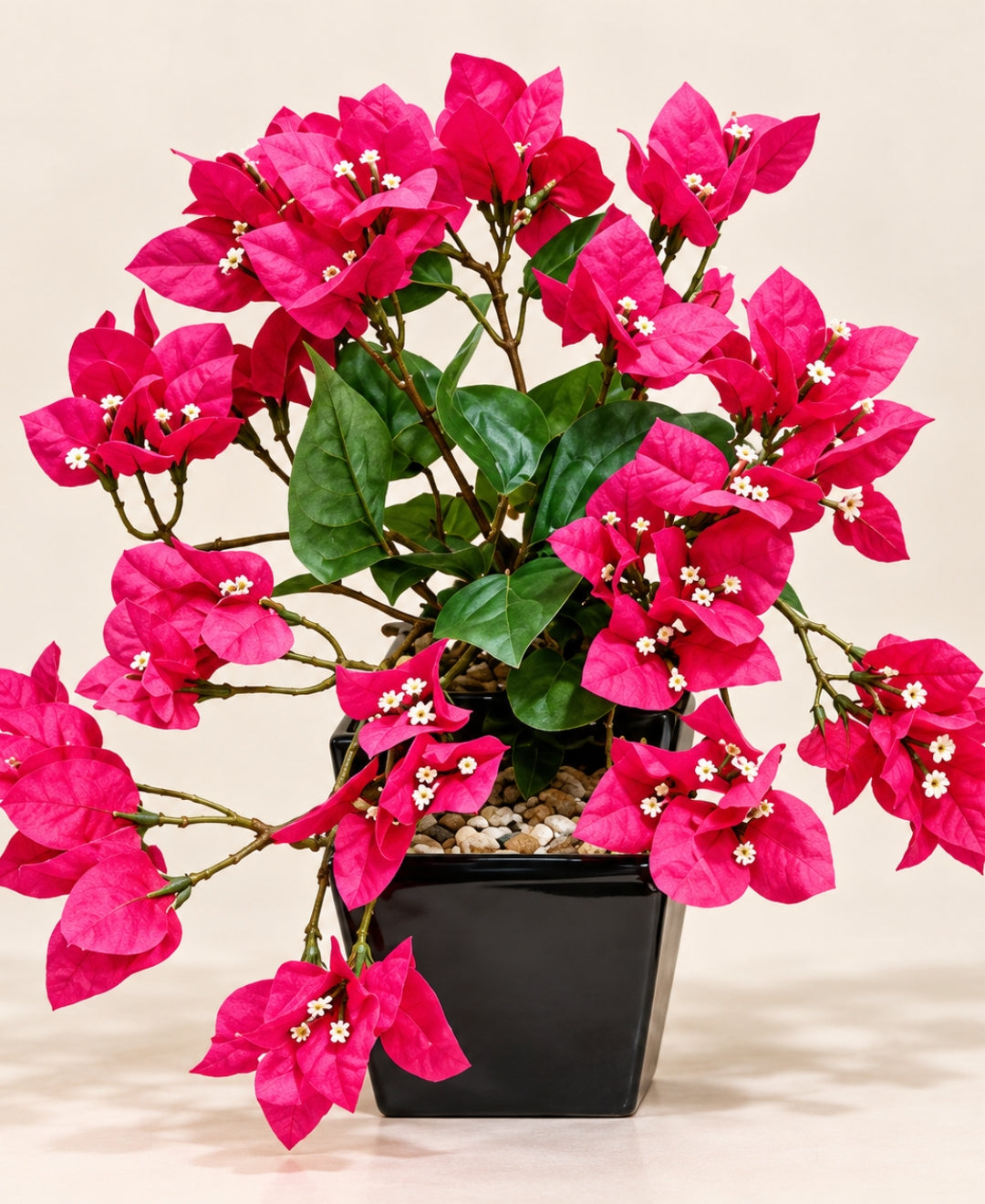 Artificial Trailing Bougainvillea Pot - DPink in Black Square Ceramic Pots
