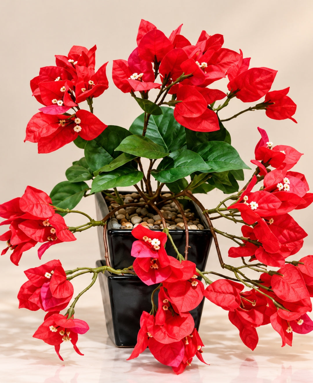 Artificial Trailing Bougainvillea Pot - Red in Black Square Ceramic Pots