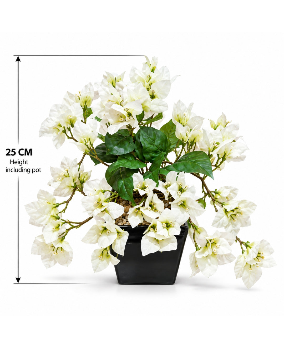 Artificial Trailing Bougainvillea Pot - White in Black Square Ceramic Pots