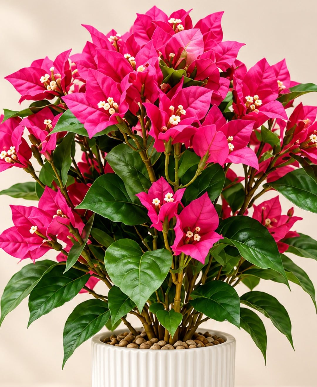 Artificial Bougainvillea Bonsais DPink in Ribbed Ceramic Pots