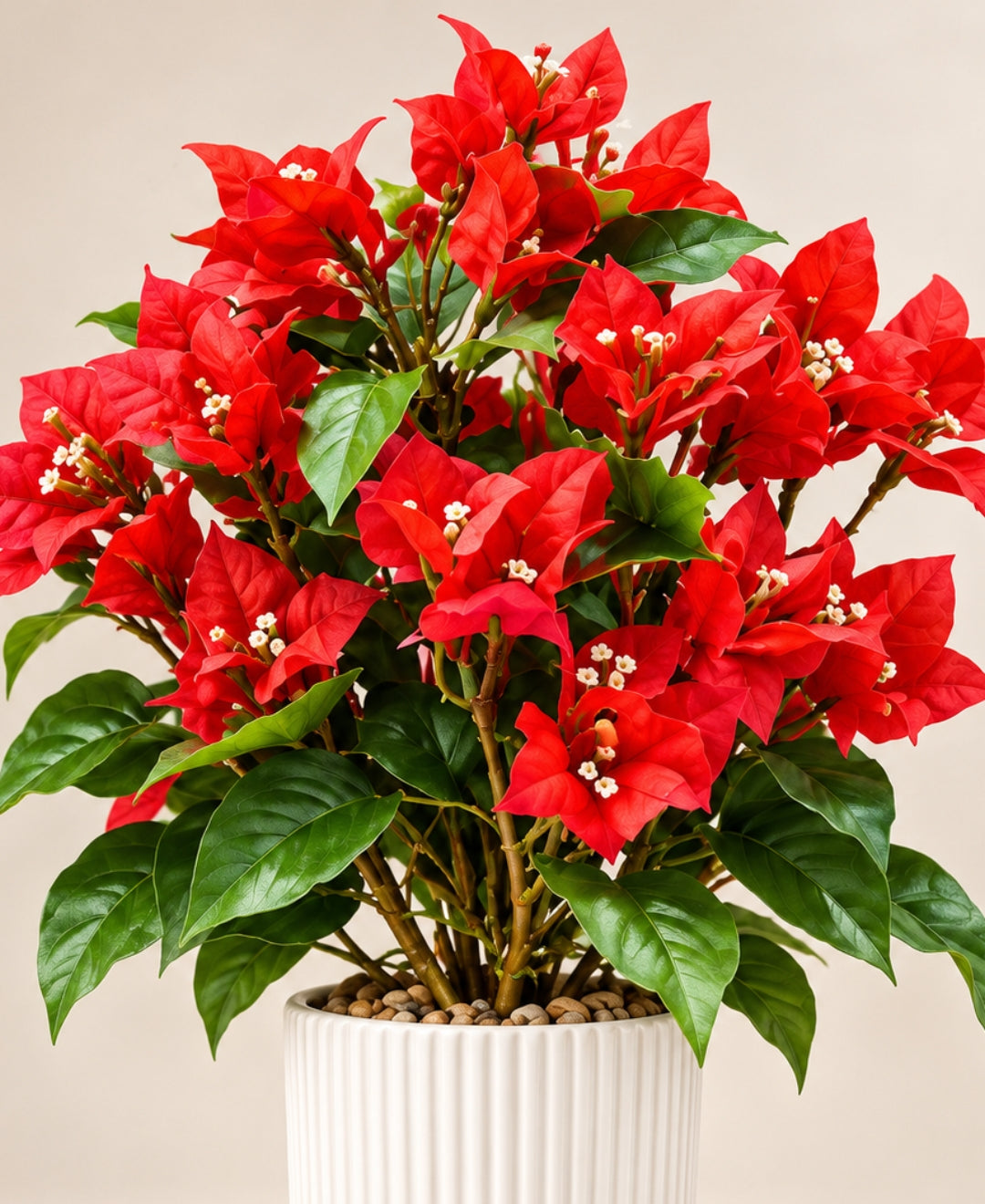 Artificial Bougainvillea Bonsais Red in Ribbed Ceramic Pot