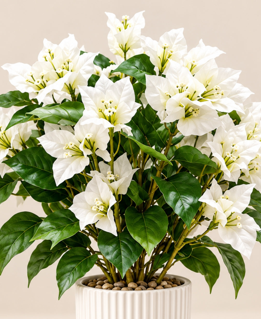 Artificial Bougainvillea Bonsais White in Ribbed Ceramic Pot