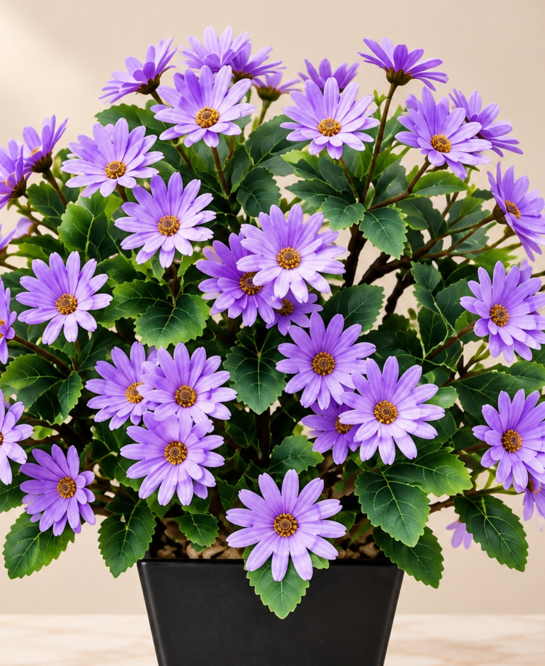 Artificial Daisy Flower Bush - Purple in Black Square Ceramic Pot