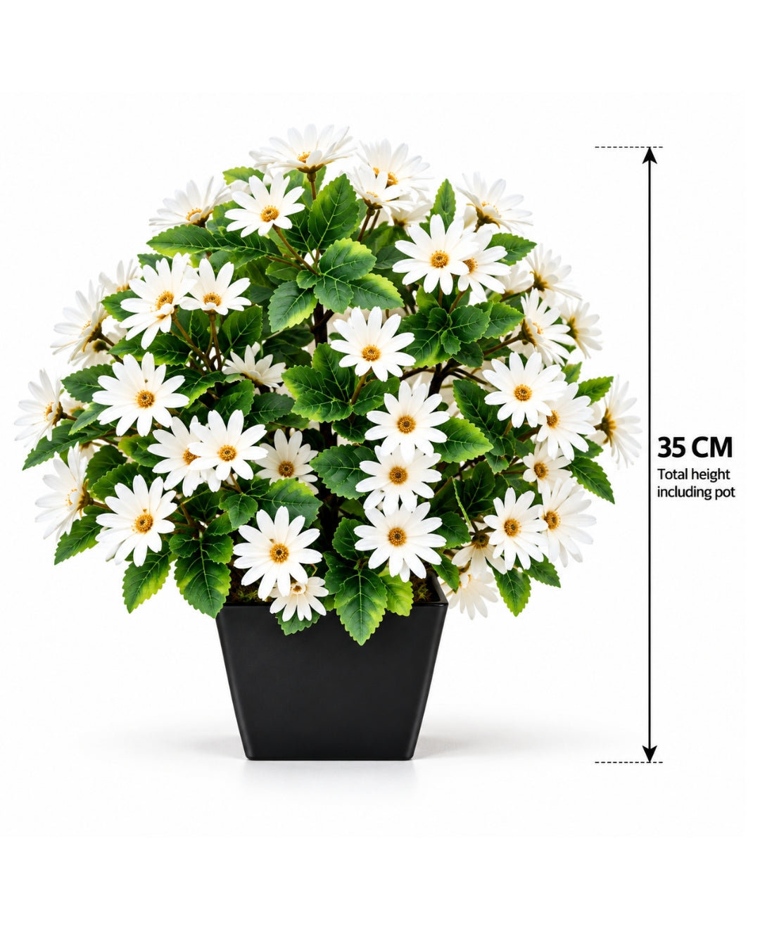 Artificial Daisy Flower Bush - White in Black Square Ceramic Pot