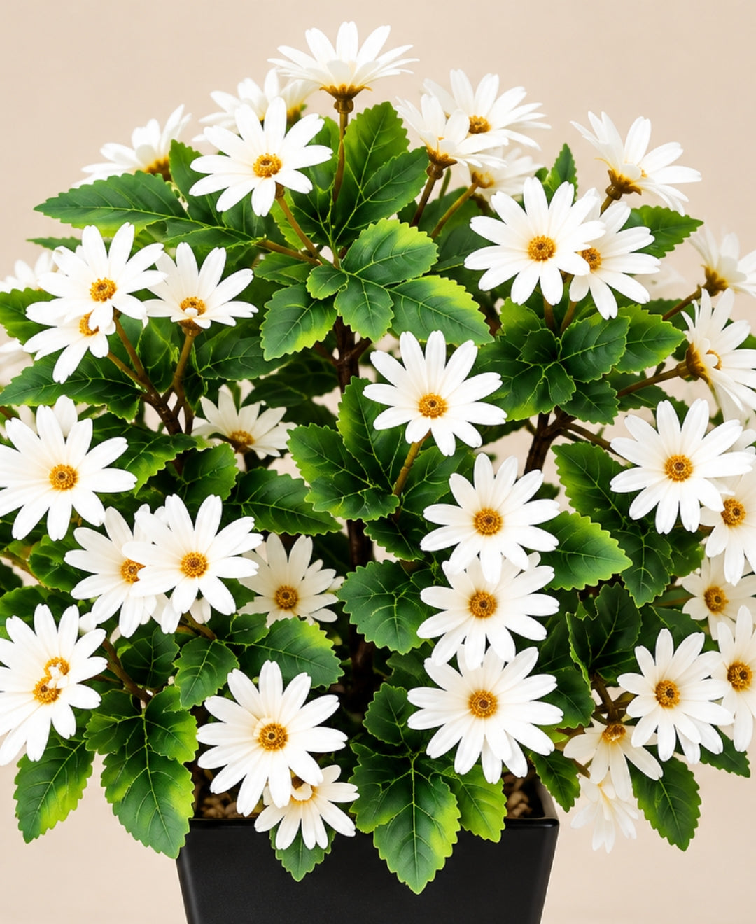 Artificial Daisy Flower Bush - White in Black Square Ceramic Pot