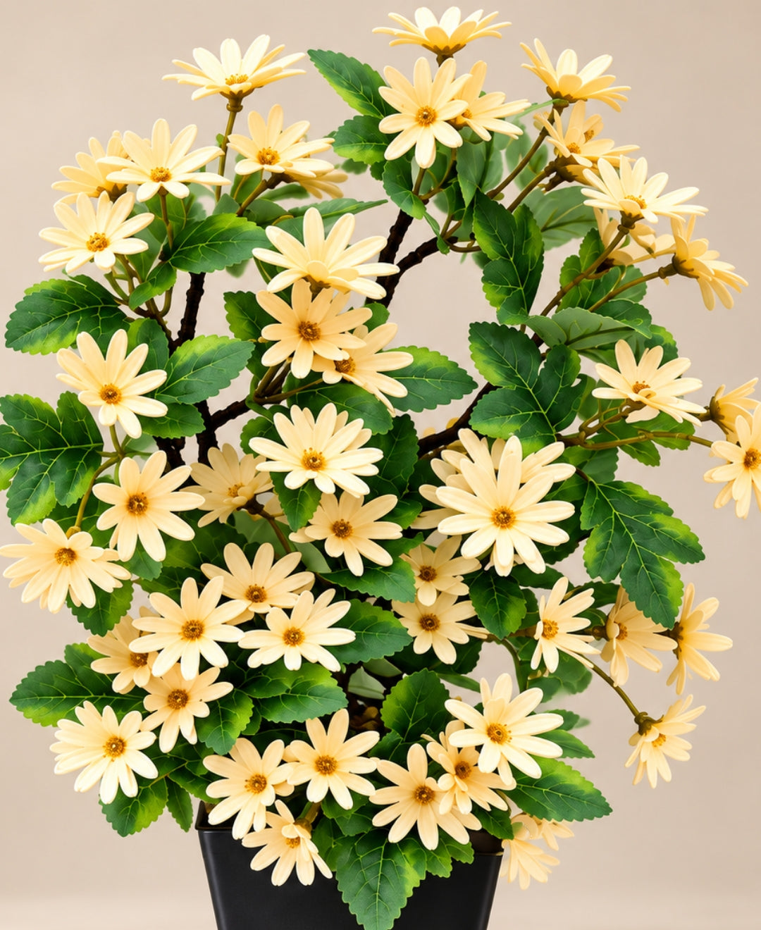 Artificial Daisy Flower Bush - Yellow in Black Square Ceramic Pot