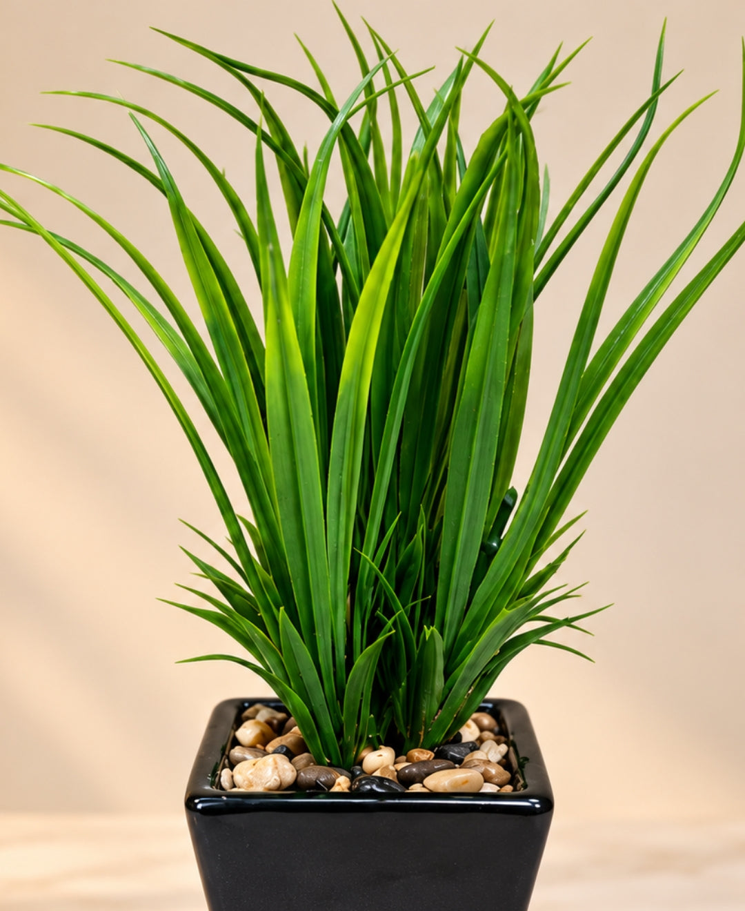 Artificial Lily Grass Bonsai in Glossy Black Square Ceramic Pot