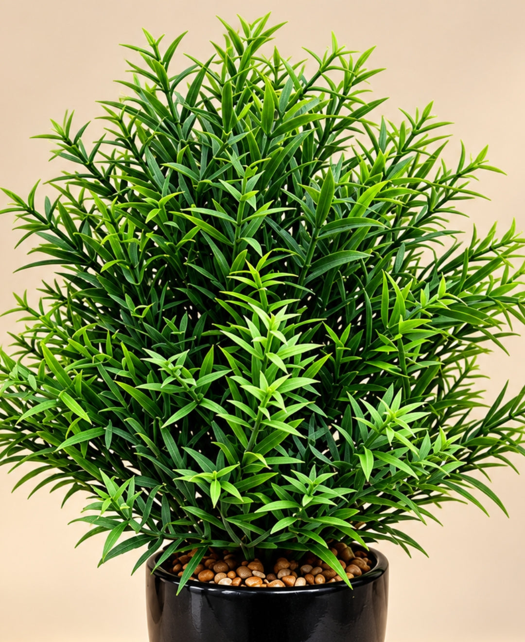 Artificial Rosemary Herb Bush in Glossy Black Ceramic Pot