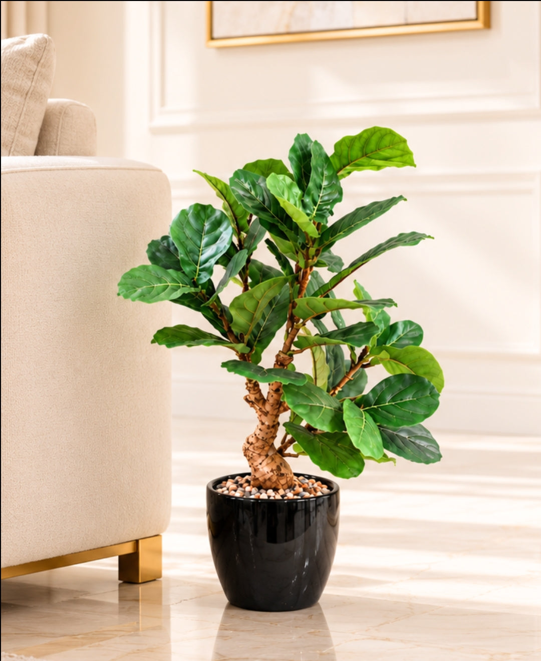 Artificial Fiddle Leaf Fig Bonsai with Twisted Trunk in Glossy Black Textured Ceramic Pot
