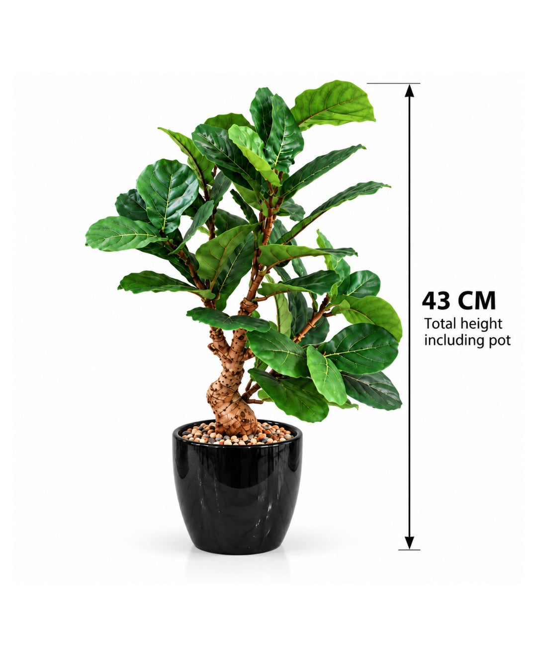 Artificial Fiddle Leaf Fig Bonsai with Twisted Trunk in Glossy Black Textured Ceramic Pot