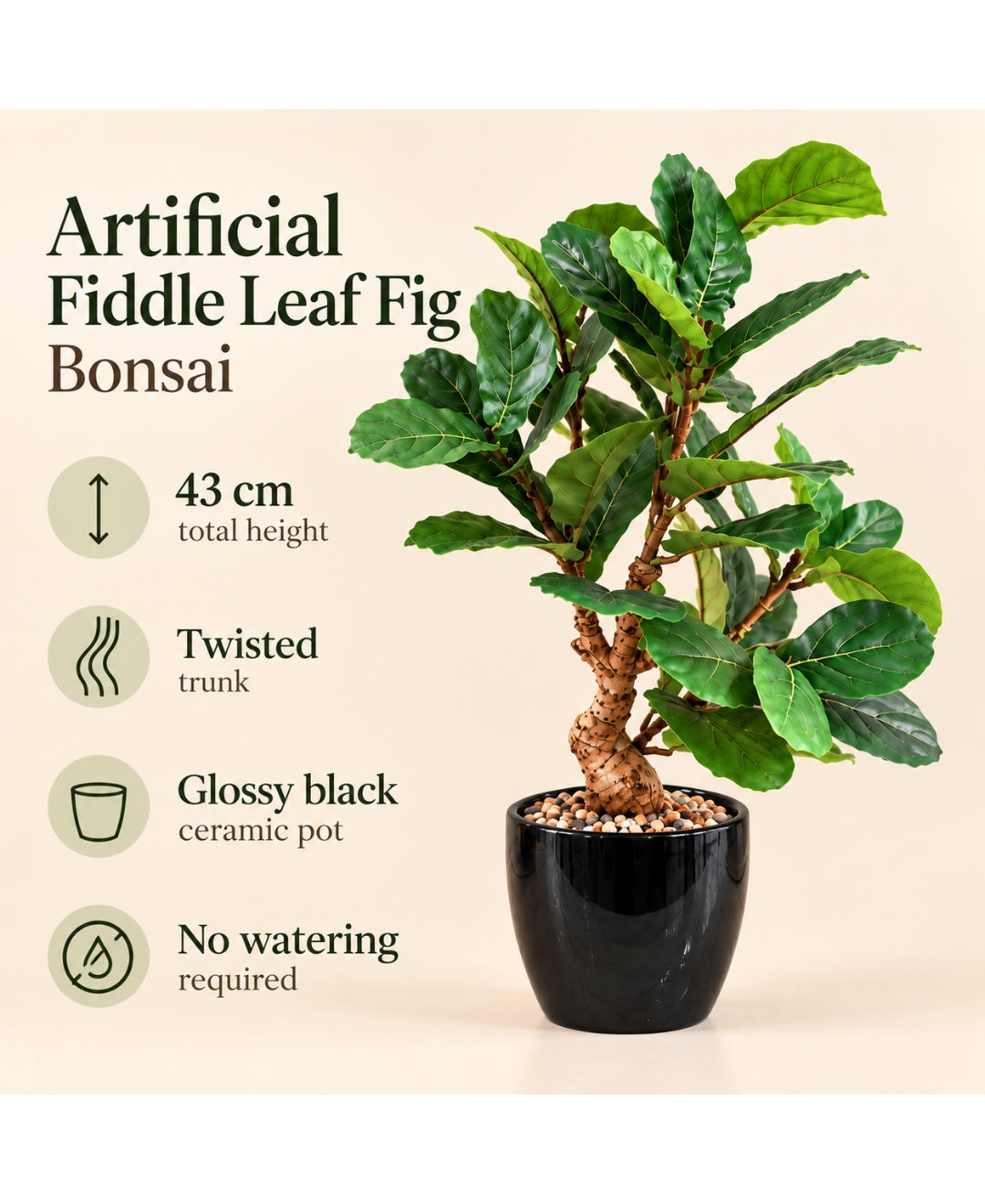 Artificial Fiddle Leaf Fig Bonsai with Twisted Trunk in Glossy Black Textured Ceramic Pot