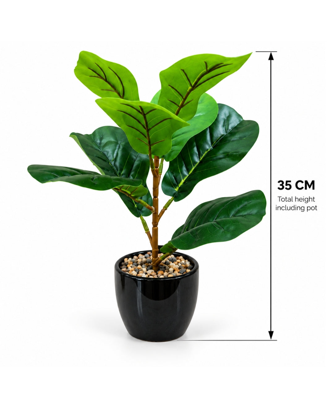 Artificial Mini Fiddle Leaf Fig Bonsai in Glossy Black Textured Ceramic Pot