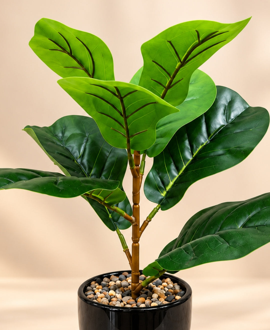 Artificial Mini Fiddle Leaf Fig Bonsai in Glossy Black Textured Ceramic Pot