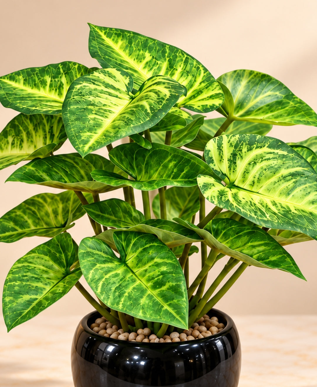 Artificial Syngonium Bonsai in Glossy Black Ceramic Pot