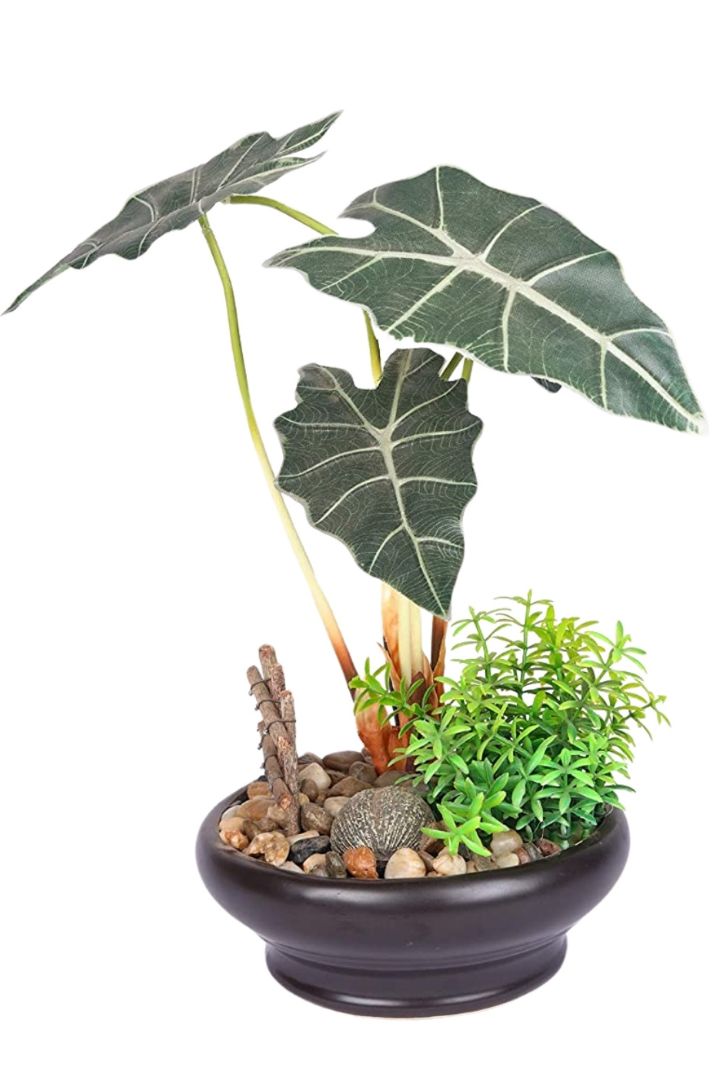Artificial Alocasia Bonsai with Brown Ceramic Pot