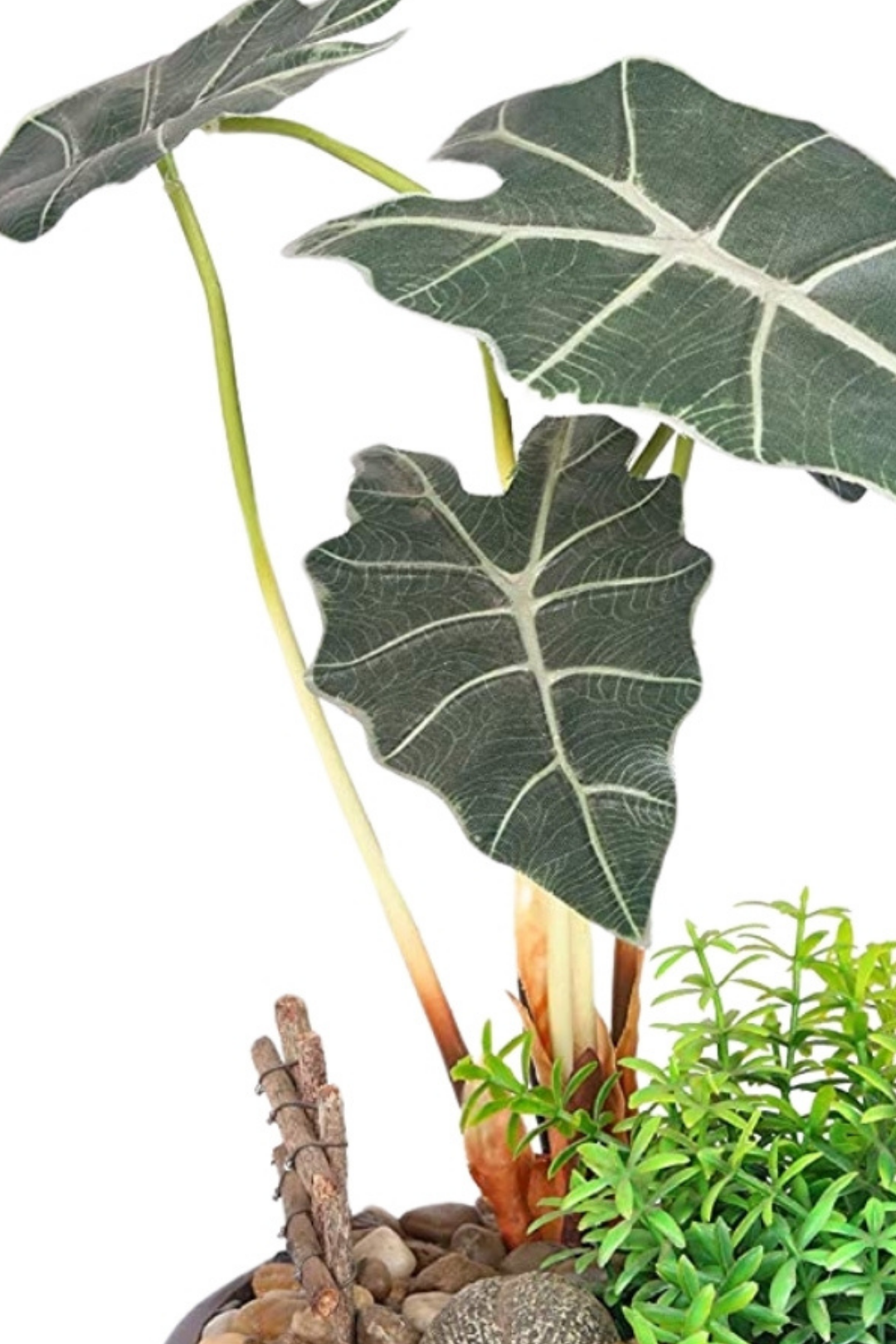 Artificial Alocasia Bonsai with Brown Ceramic Pot