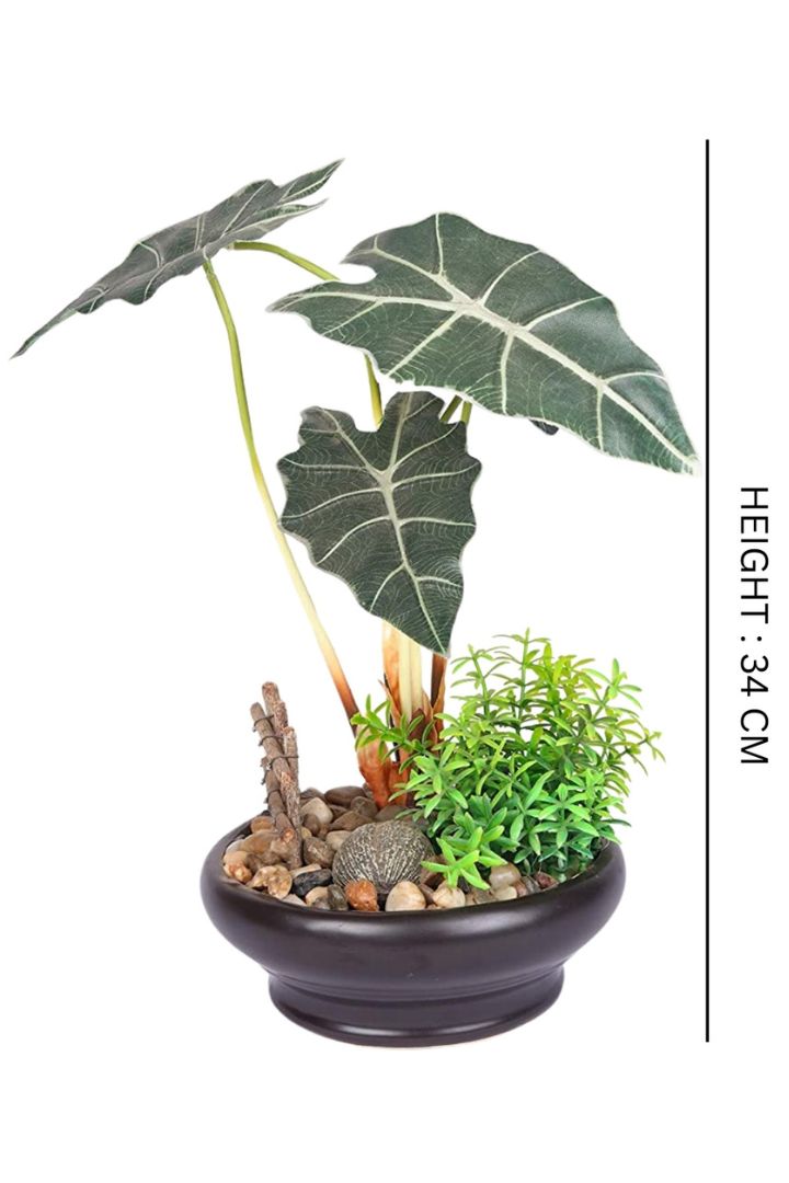 Artificial Alocasia Bonsai with Brown Ceramic Pot