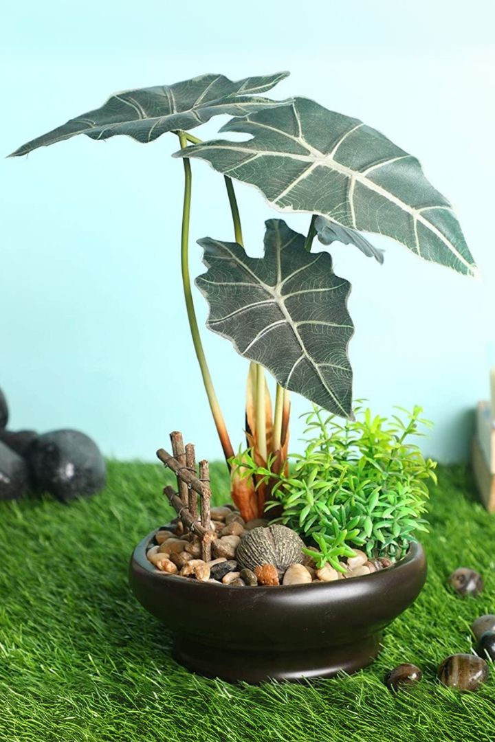 Artificial Alocasia Bonsai with Brown Ceramic Pot
