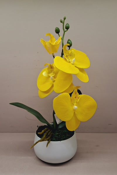 Artificial orchid flowers for your home or office decor