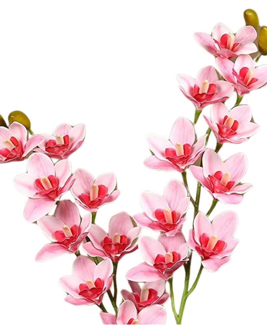 Orchid Grace Artificial Cymbidium Orchid Stem (Pack Of 4)