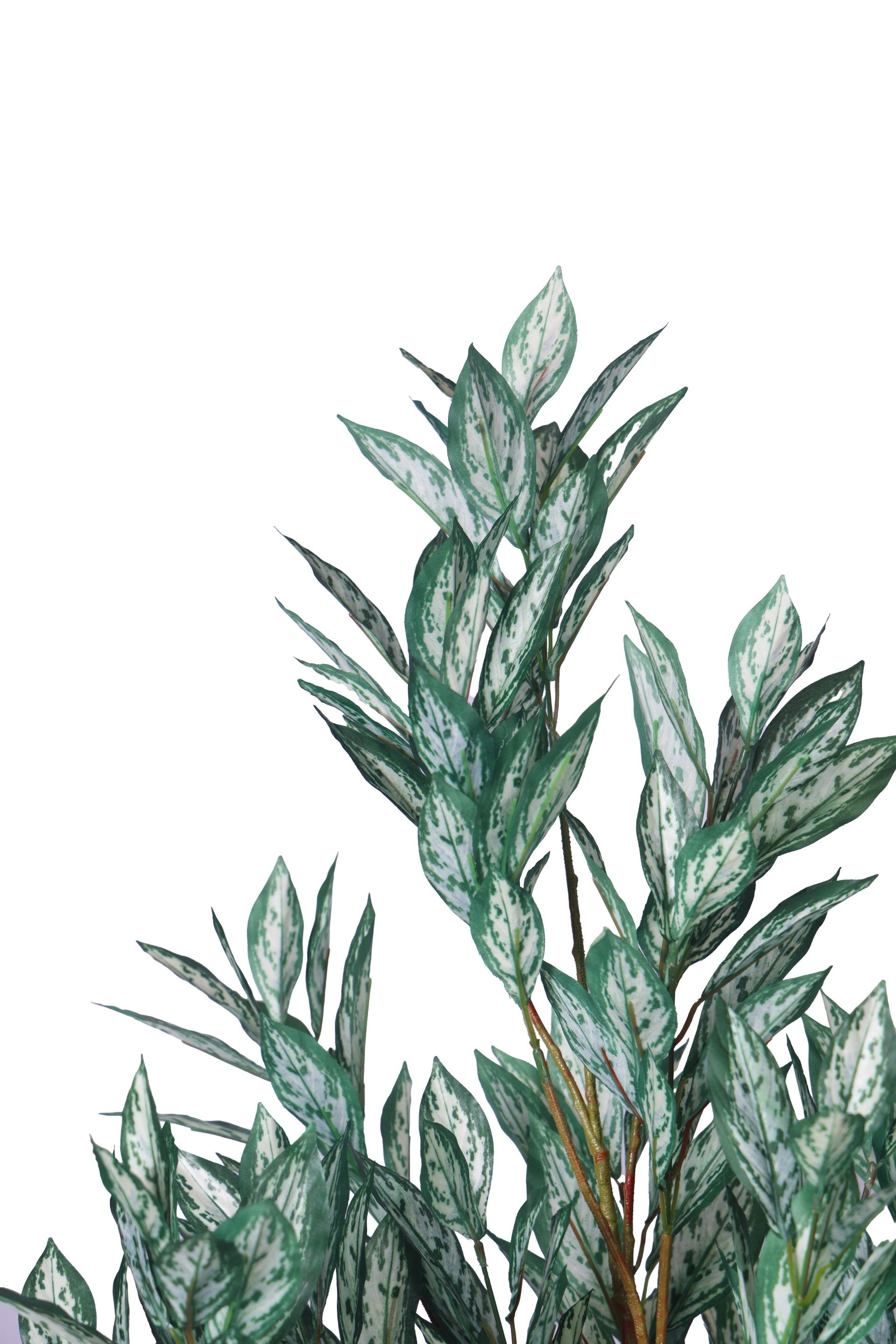 PolliNation Premium White Silk King Artificial Plant Without Pot (Pack of 1) White