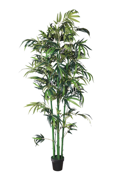 Artificial Real Touch Bamboo Plant for Home and Office Décor