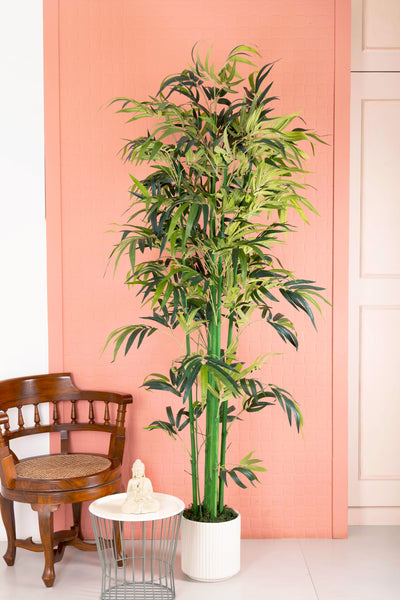 Artificial Real Touch Bamboo Plant for Home and Office Décor