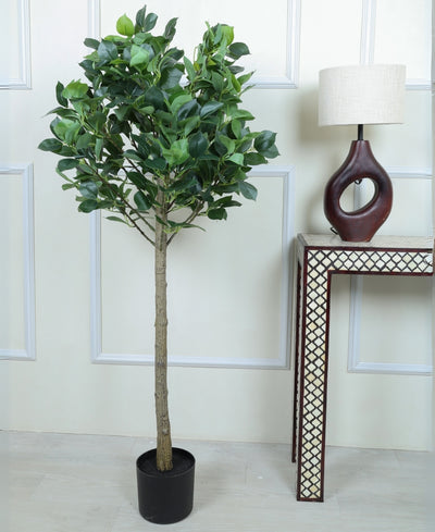 Blush Bloom Faux Camellia Plant With Pot (Tall)