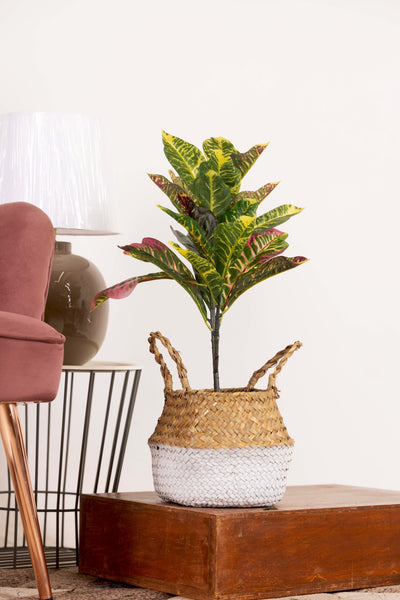 Rainbow Croton Faux HouseplantWithout Pot - 2 feet