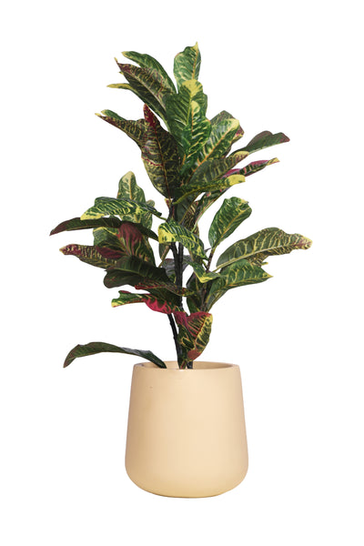 Rainbow Croton Faux HouseplantWithout Pot - 2.5 feet