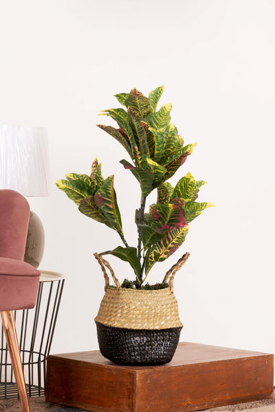 Rainbow Croton Faux HouseplantWithout Pot - 2.5 feet